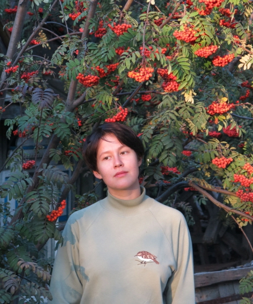 감독